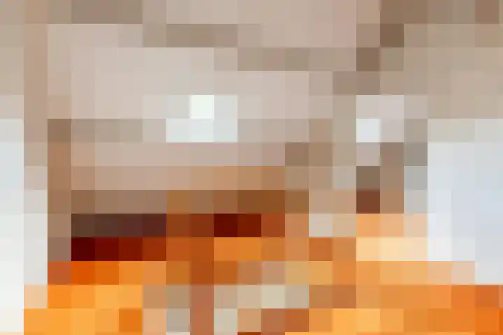 Vogelkers 11 Helvoirt thumbnail 24
