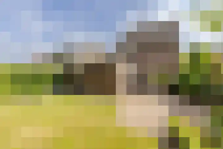 Vogelkers 11 Helvoirt thumbnail 32