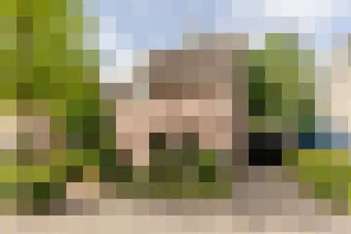 Vogelkers 11 Helvoirt thumbnail 37