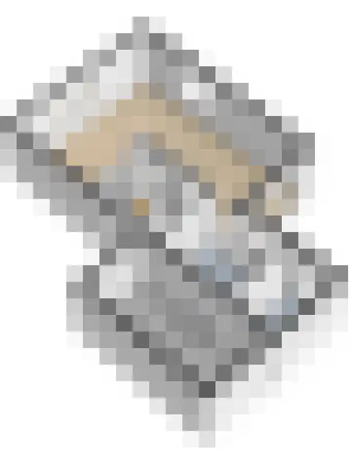 Vogelkers 11 Helvoirt thumbnail 39