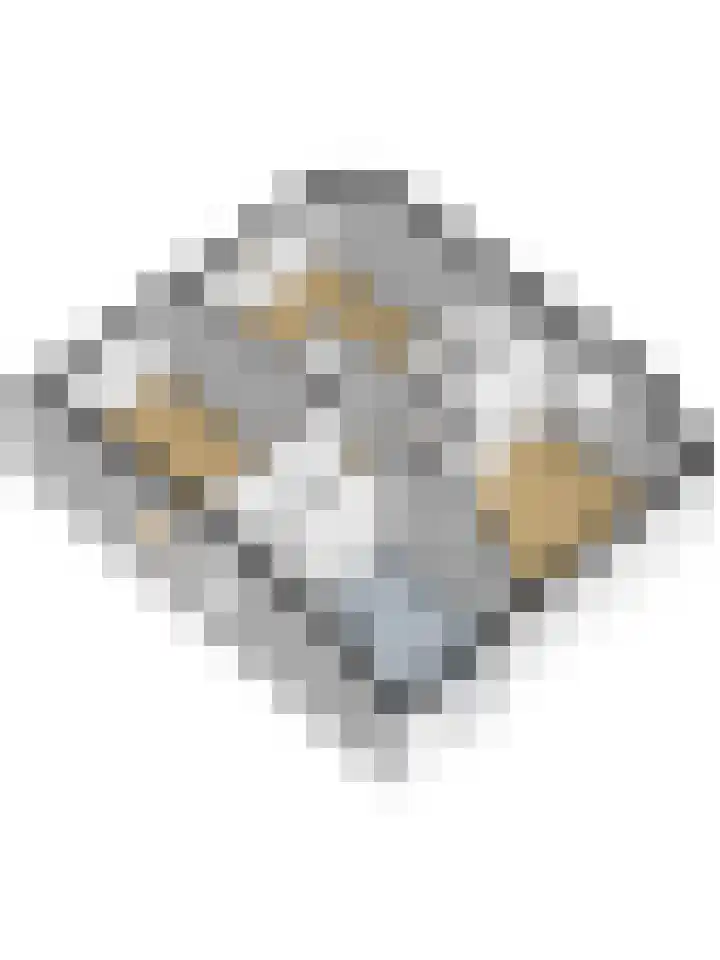 Vogelkers 11 Helvoirt thumbnail 41