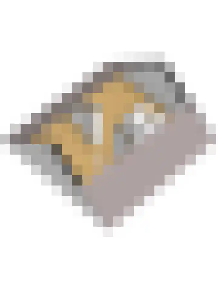 Vogelkers 11 Helvoirt thumbnail 43