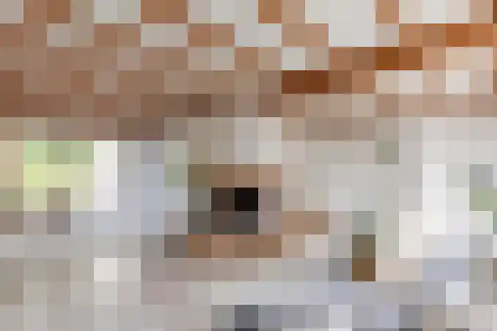 Vogelkers 11 Helvoirt thumbnail 5