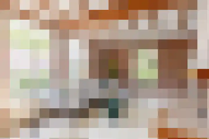 Vogelkers 11 Helvoirt thumbnail 7