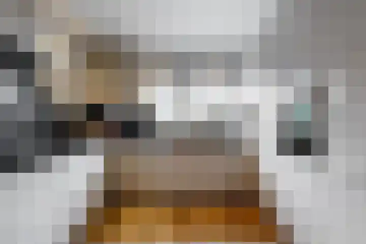 Vogelkers 8 Heemskerk thumbnail 10