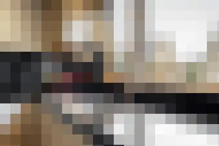 Vogelkers 8 Heemskerk thumbnail 11
