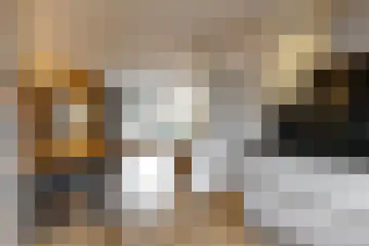 Vogelkers 8 Heemskerk thumbnail 12