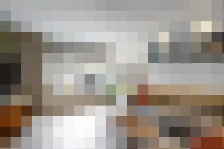 Vogelkers 8 Heemskerk thumbnail 13