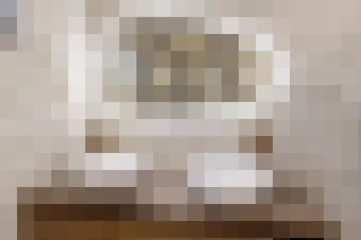 Vogelkers 8 Heemskerk thumbnail 18