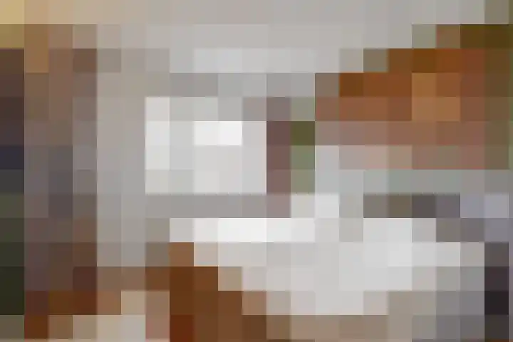 Vogelkers 8 Heemskerk thumbnail 19