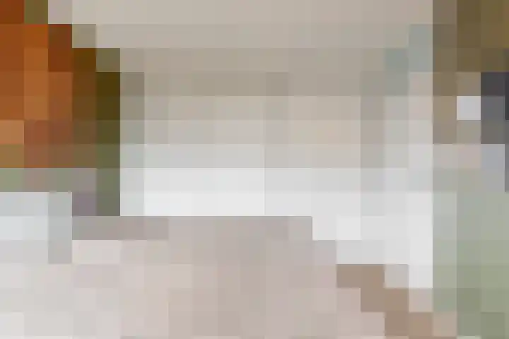 Vogelkers 8 Heemskerk thumbnail 20