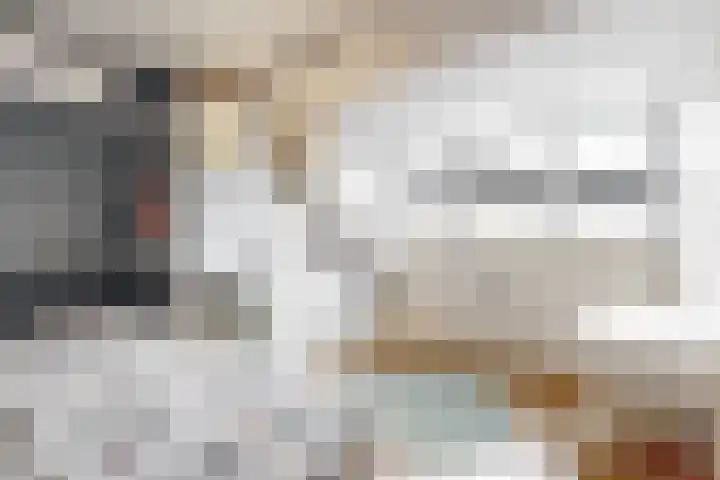 Vogelkers 8 Heemskerk thumbnail 21