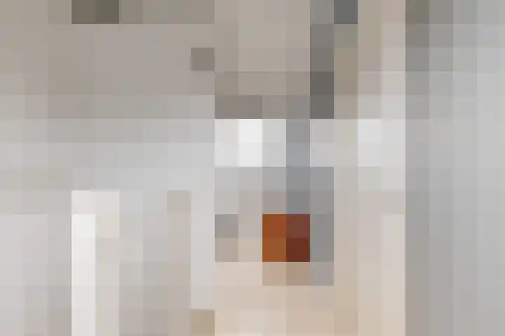 Vogelkers 8 Heemskerk thumbnail 24