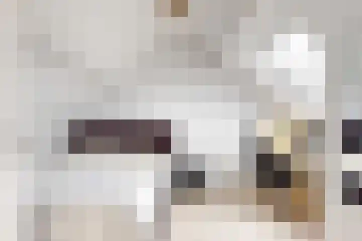 Vogelkers 8 Heemskerk thumbnail 26