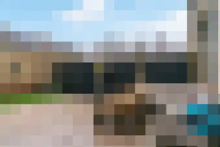 Vogelkers 8 Heemskerk thumbnail 29