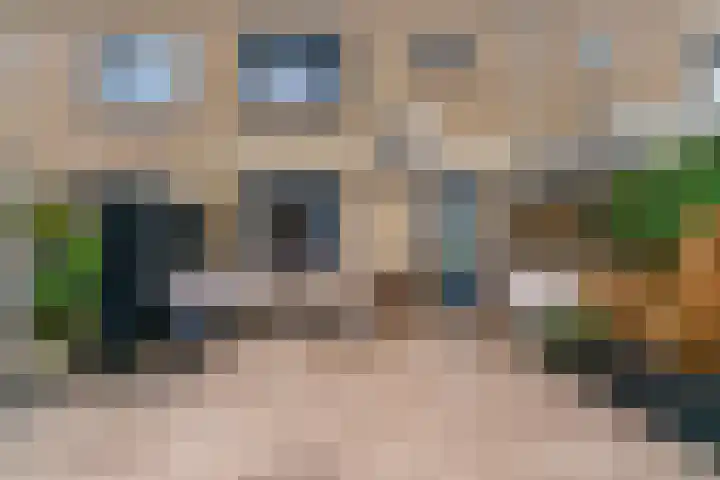 Vogelkers 8 Heemskerk thumbnail 30