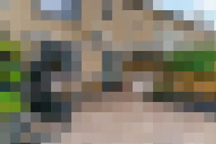 Vogelkers 8 Heemskerk thumbnail 31