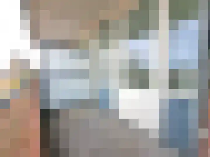 Vogelkers 8 Heemskerk thumbnail 33