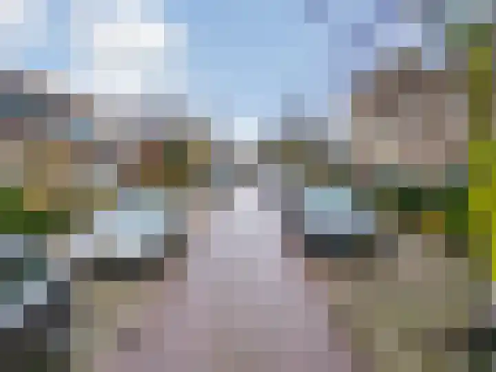 Vogelkers 8 Heemskerk thumbnail 33
