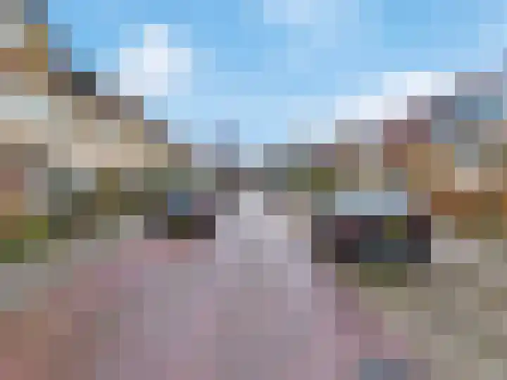 Vogelkers 8 Heemskerk thumbnail 34