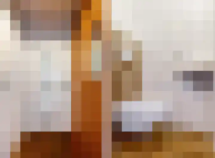 Vogelkers 8 Heemskerk thumbnail 4