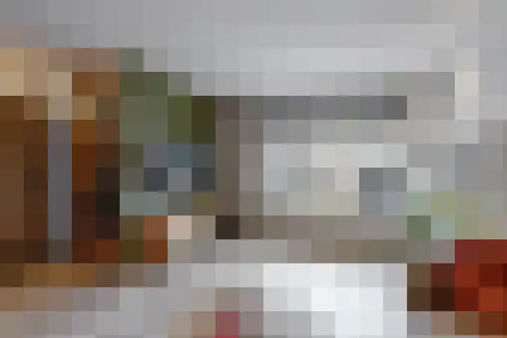 Vogelkers 8 Heemskerk thumbnail 7