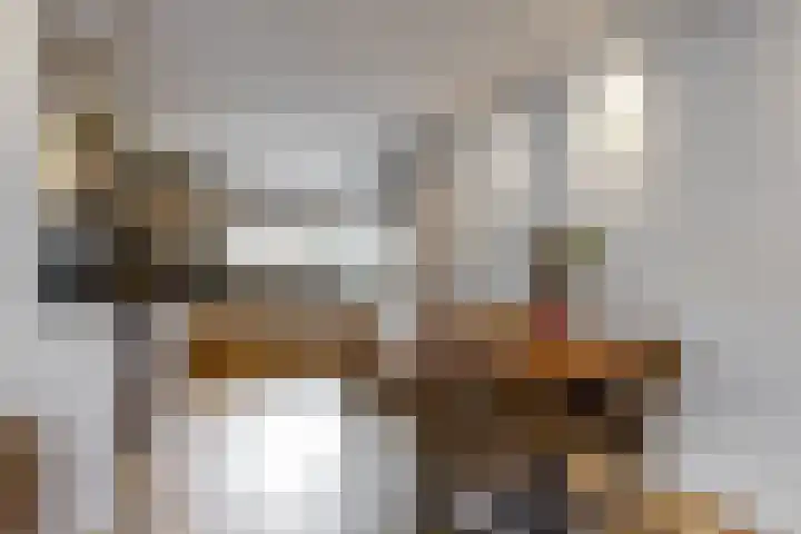 Vogelkers 8 Heemskerk thumbnail 8