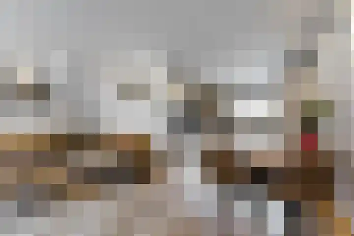 Vogelkers 8 Heemskerk thumbnail 9