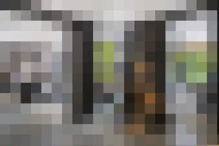 Vogelkerslaan 7 Vught thumbnail 10