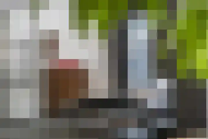 Vogelkerslaan 7 Vught thumbnail 13