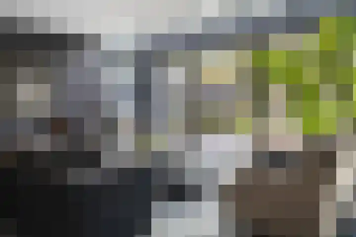 Vogelkerslaan 7 Vught thumbnail 15