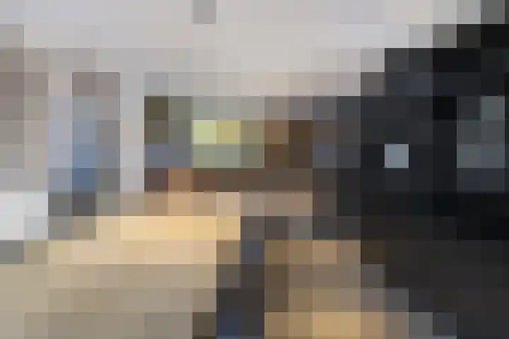 Vogelkerslaan 7 Vught thumbnail 17