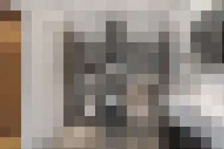 Vogelkerslaan 7 Vught thumbnail 25