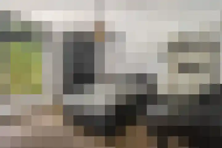 Vogelkerslaan 7 Vught thumbnail 26