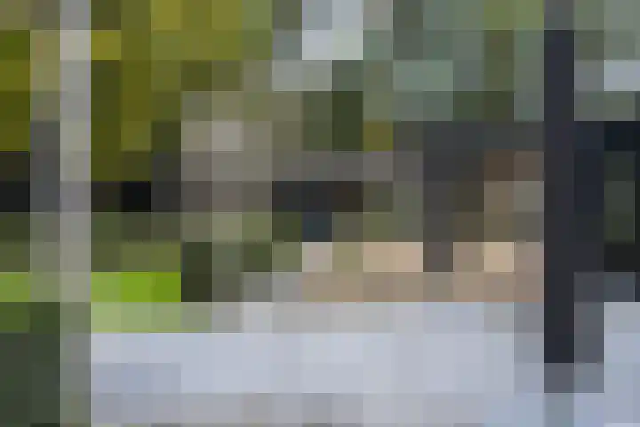 Vogelkerslaan 7 Vught thumbnail 4