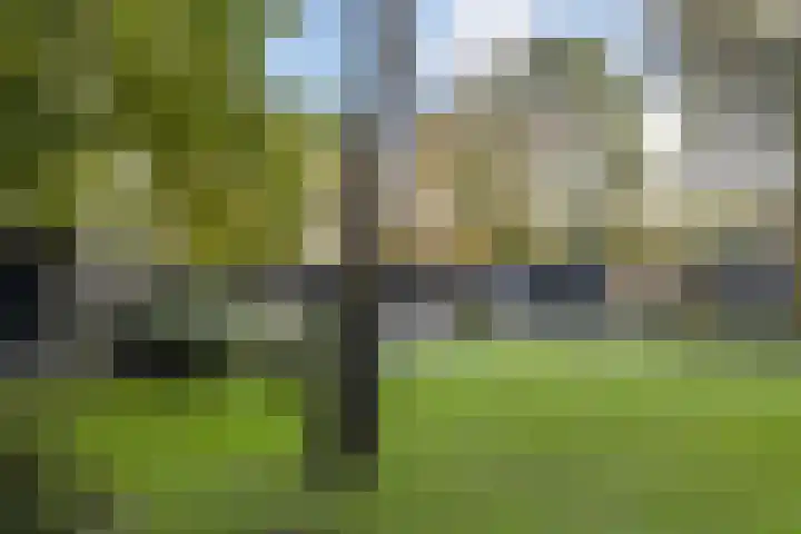 Vogelkerslaan 7 Vught thumbnail 40