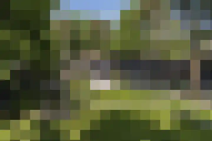 Vogelkerslaan 7 Vught thumbnail 41