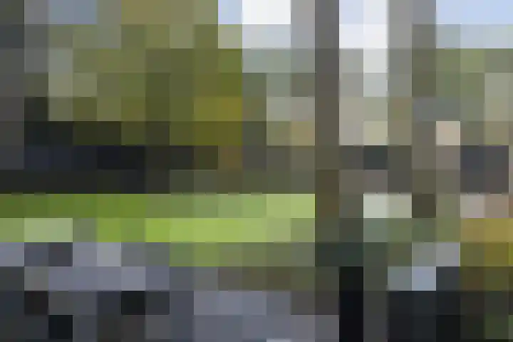 Vogelkerslaan 7 Vught thumbnail 43