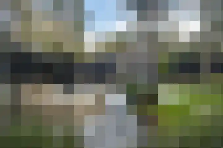 Vogelkerslaan 7 Vught thumbnail 44