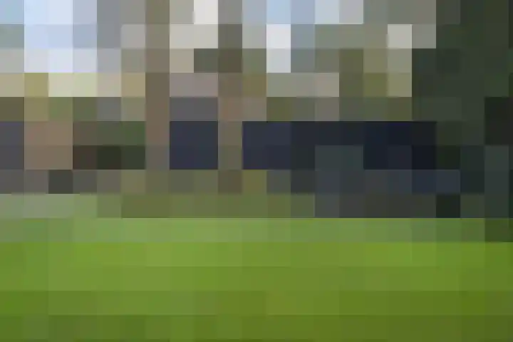 Vogelkerslaan 7 Vught thumbnail 45