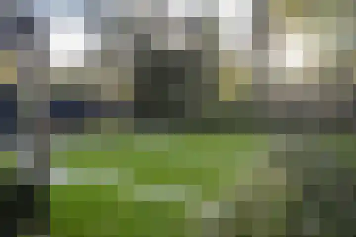 Vogelkerslaan 7 Vught thumbnail 46
