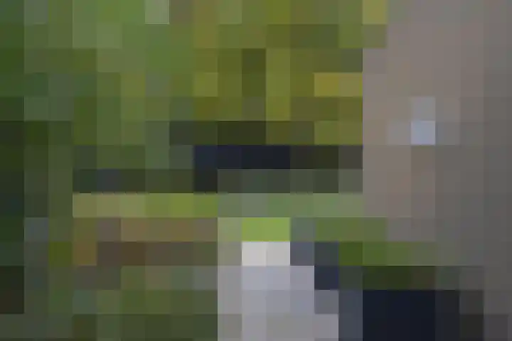 Vogelkerslaan 7 Vught thumbnail 47