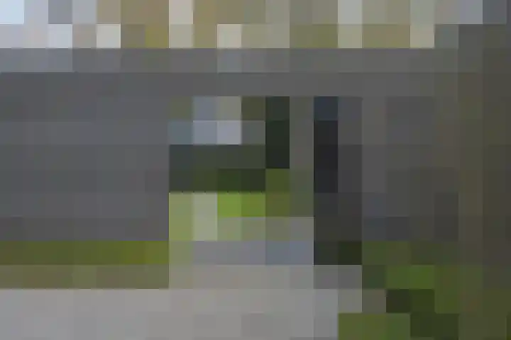 Vogelkerslaan 7 Vught thumbnail 48