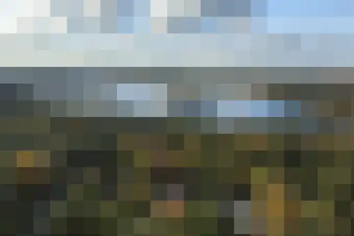 Vogelkerslaan 7 Vught thumbnail 5