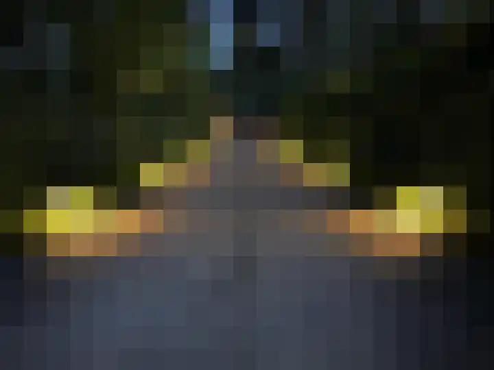 Vogelkerslaan 7 Vught thumbnail 6