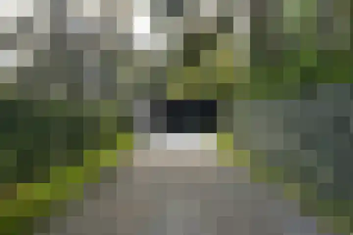 Vogelkerslaan 7 Vught thumbnail 7