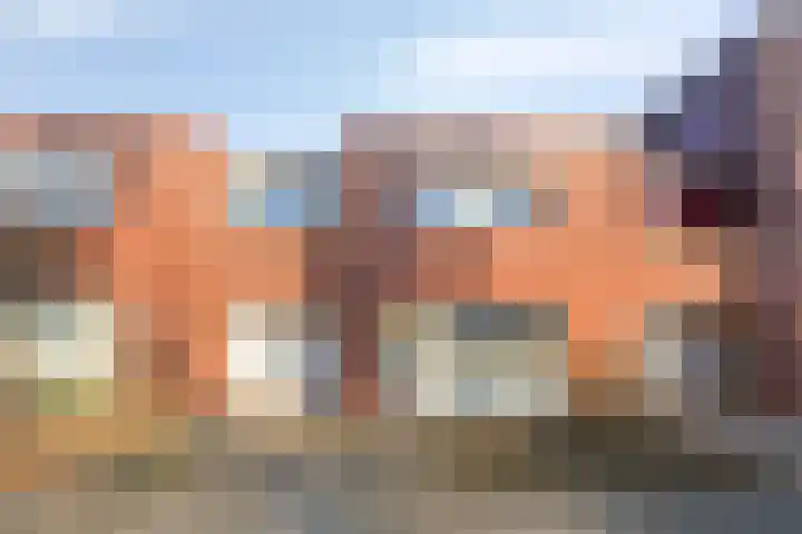 Vogellijm 4 Elsloo