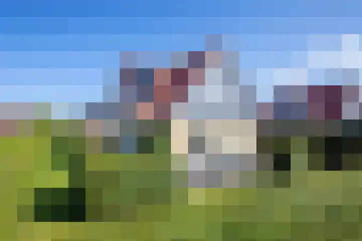 Vogelmient 39 De Koog