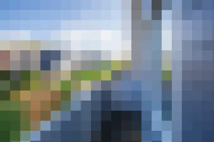 Vogelmient 39 De Koog thumbnail 21