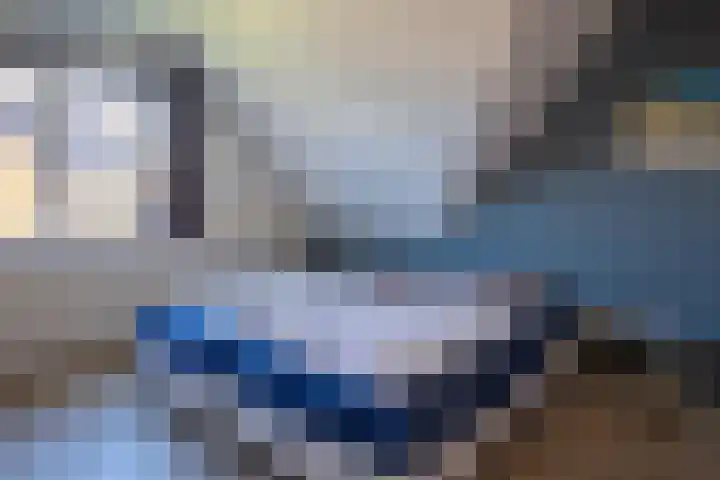 Vogelmient 39 De Koog thumbnail 24